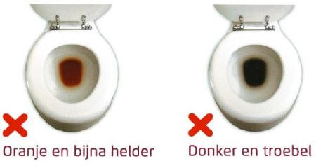Pleinvue-oranje-en-donker.jpg