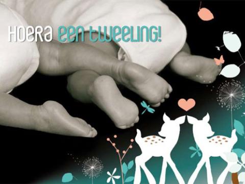 Hoera een tweeling