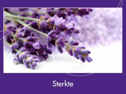 Sterkte (1)